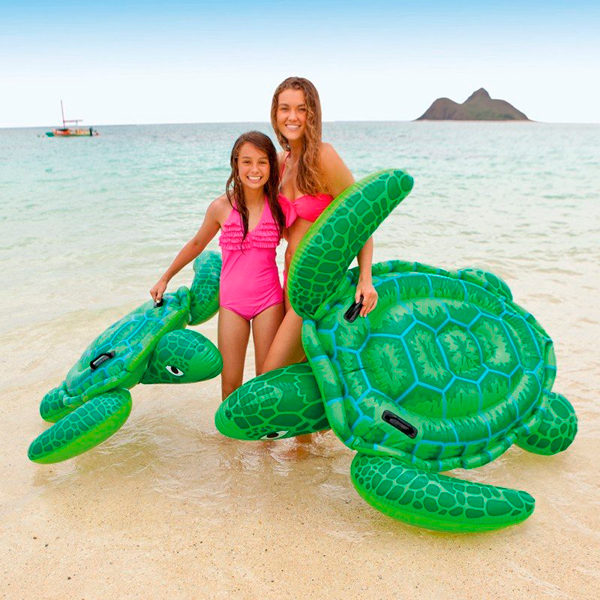 Intex Tortuga Montable #57524NP - Image 3